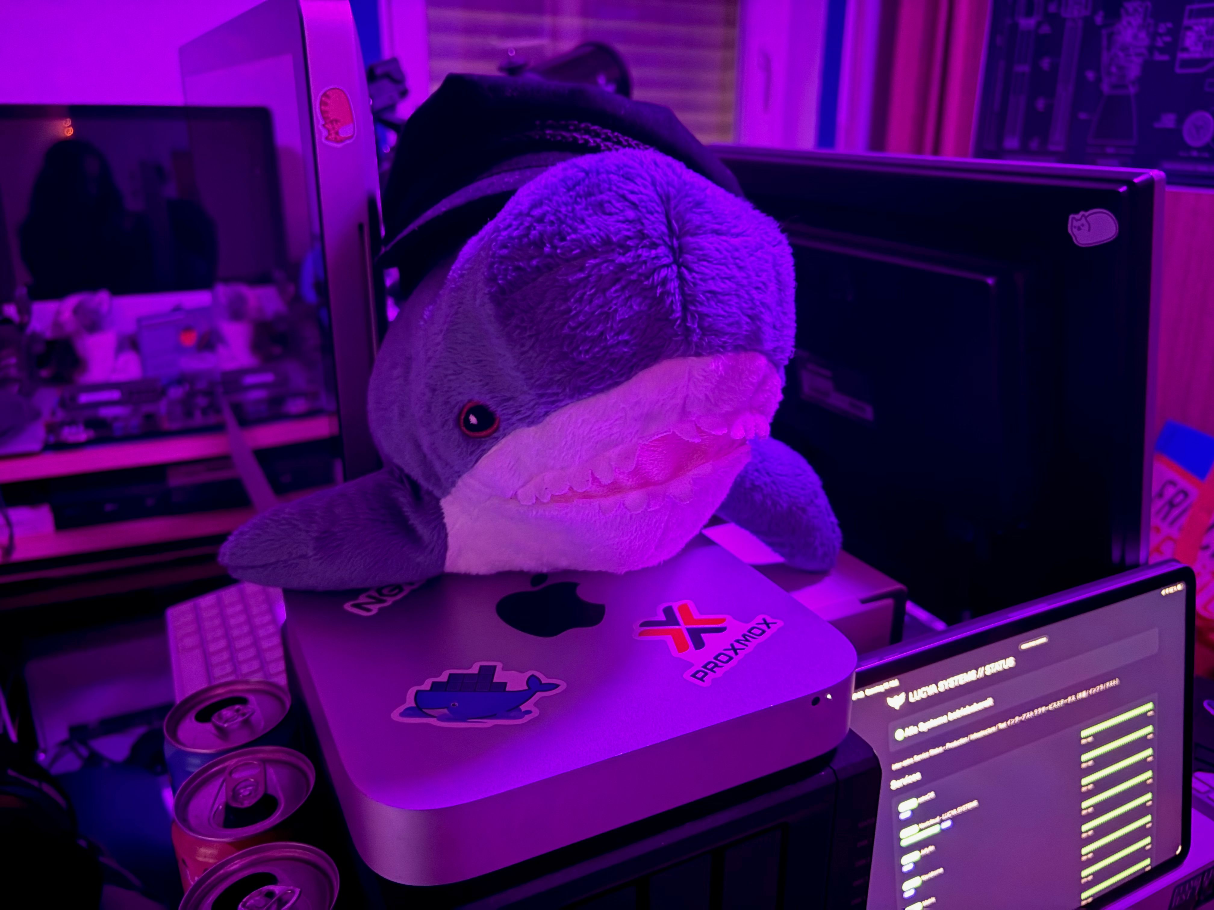 BLAHAJ, the cute plushie